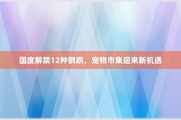 国度解禁12种鹦鹉，宠物市集迎来新机遇