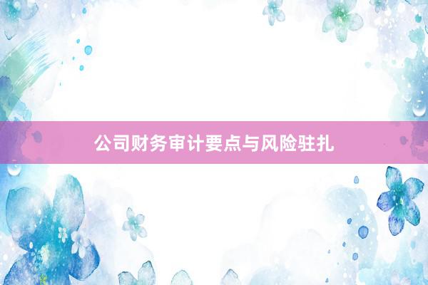公司财务审计要点与风险驻扎